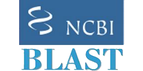 ncbi blast logo
